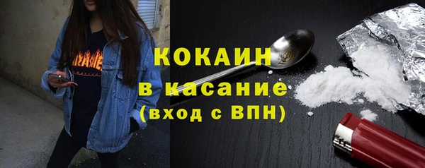 индика Лабытнанги