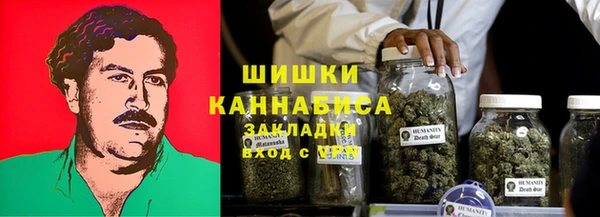 индика Лабытнанги
