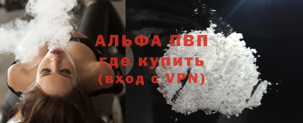 индика Лабытнанги
