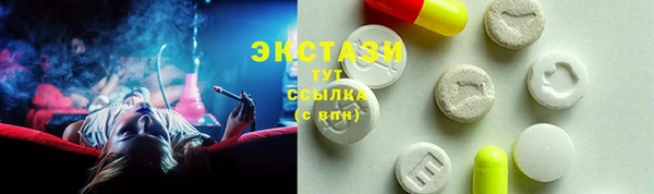 индика Лабытнанги