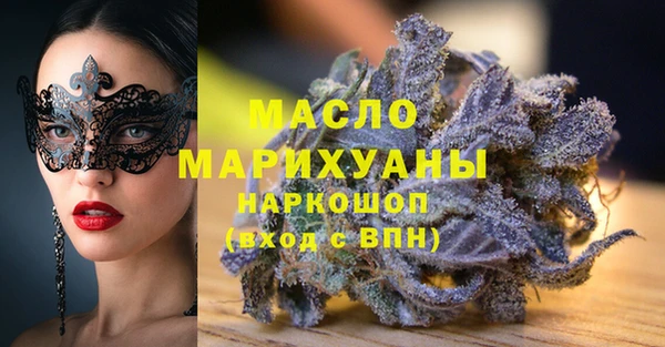 индика Лабытнанги