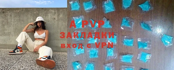 индика Лабытнанги