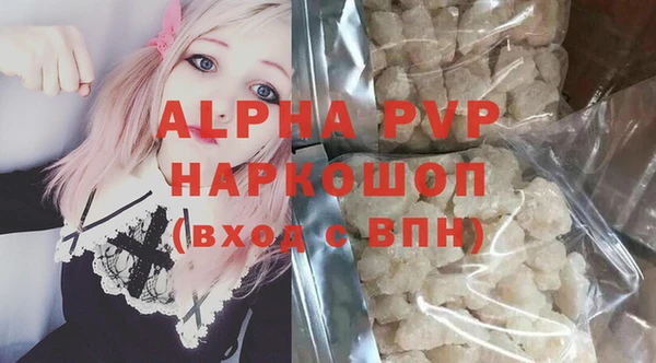 индика Лабытнанги