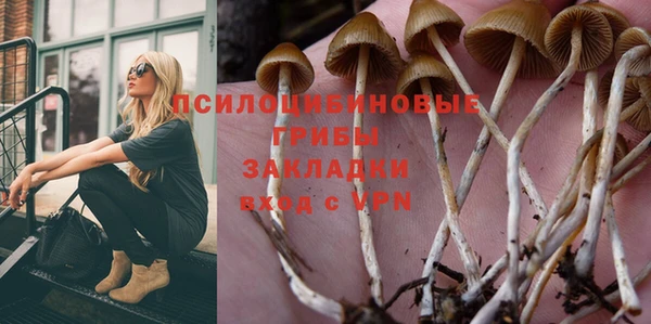 spice Ладушкин