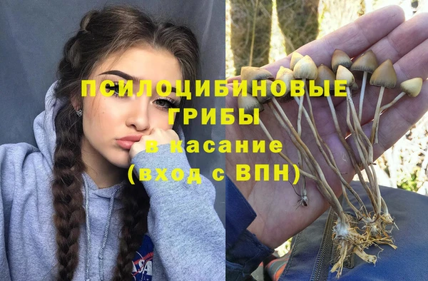 spice Ладушкин