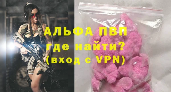 индика Лабытнанги